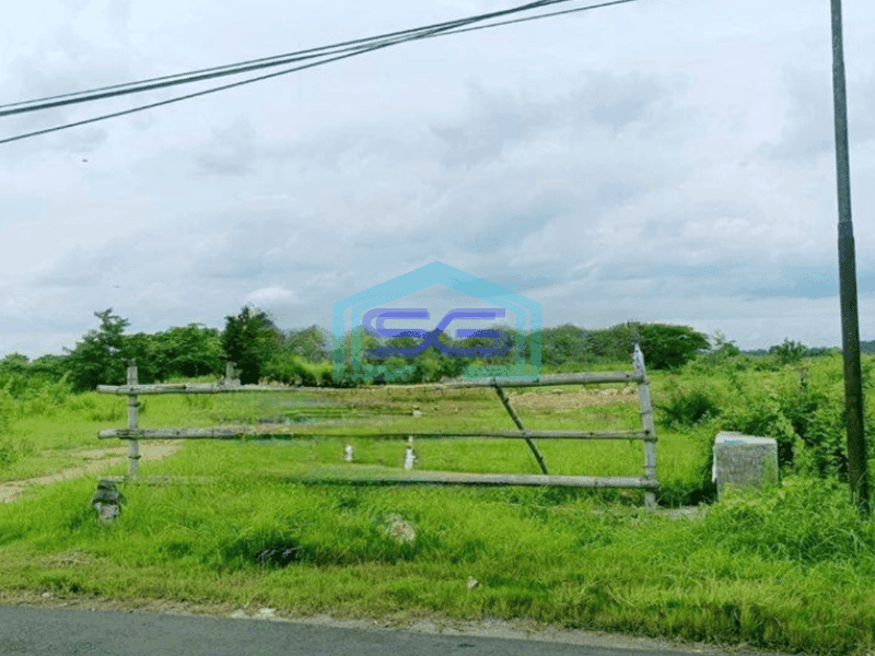 Dijual Tanah Murah Raya Benjeng Gresik Cocok Untuk Pabrik Gudang LT 10000m2
