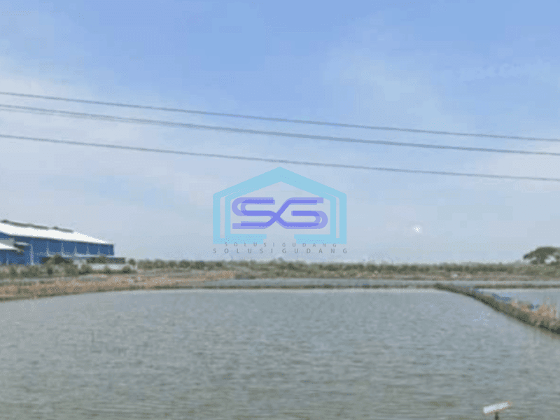 Dijual Tanah Lahan Sangat Strategis Industri Lokasi Kaliwung Kendal Luas 6 Ha