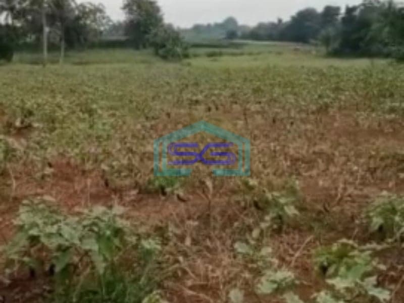 Dijual Tanah Di Jalan Raya Ciseeng Bogor Luas Tanah 50000m2