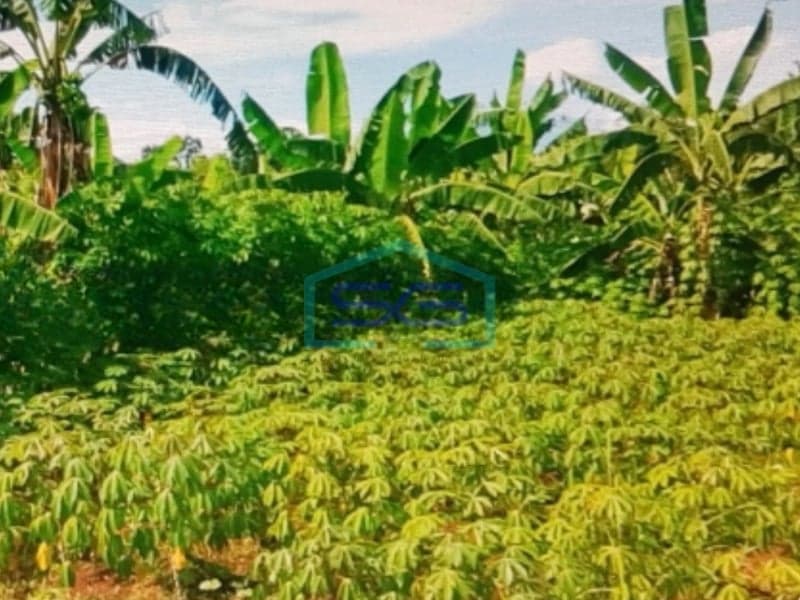 Dijual Tanah Kosong satu Hamparan Tanah Sareal, Bogor Luas Tanah 18872m2