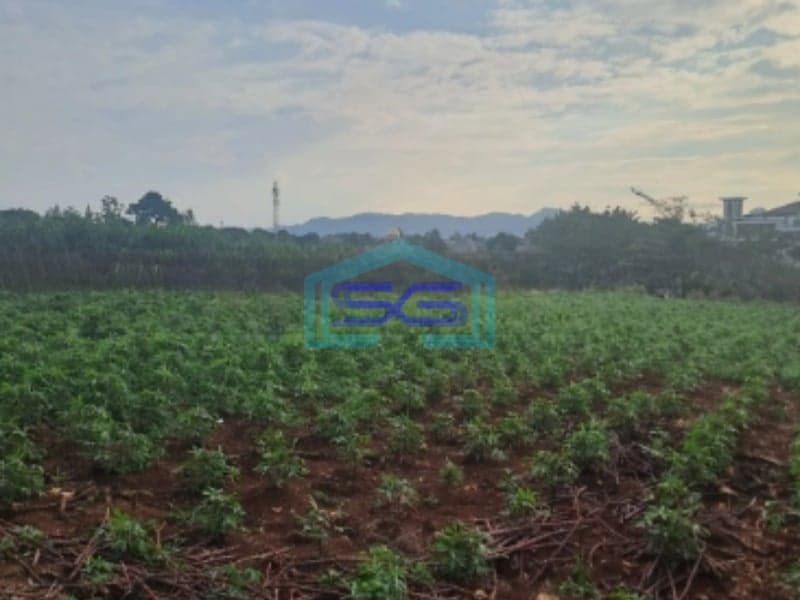 Dijual Tanah Karikhil Ciseeng Bogor Luas Tanah 1700m2 SHM
