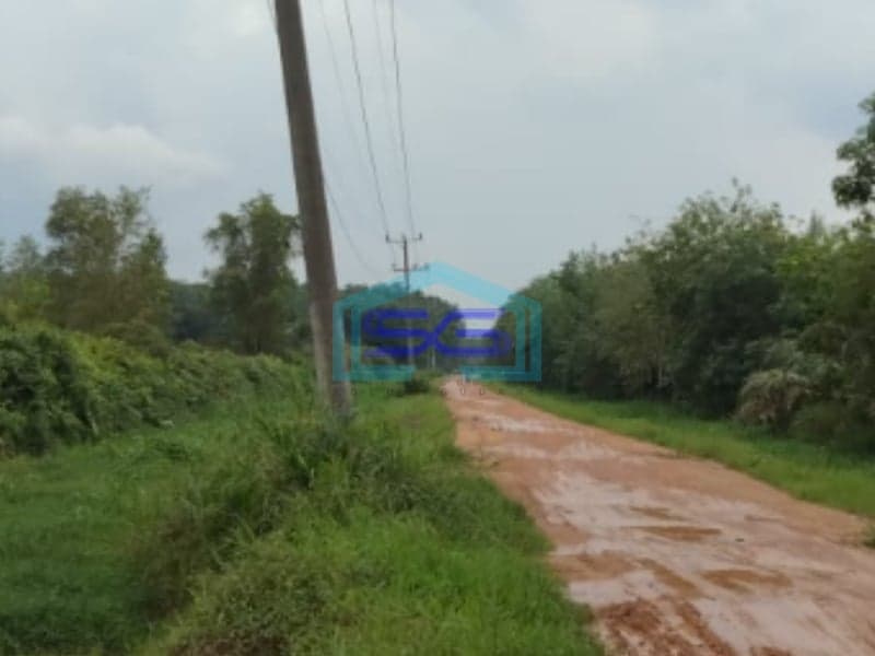 Dijual Tanah Jl Sukamakmur Air Batu Banyuasin Palembang Luas 11 Hektar