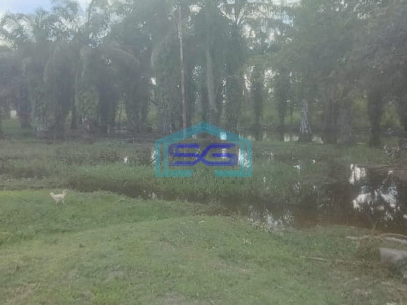 Dijual Tanah Luas 6,4 Ha di Bukit Baru Palembang Akses Dekat Tol