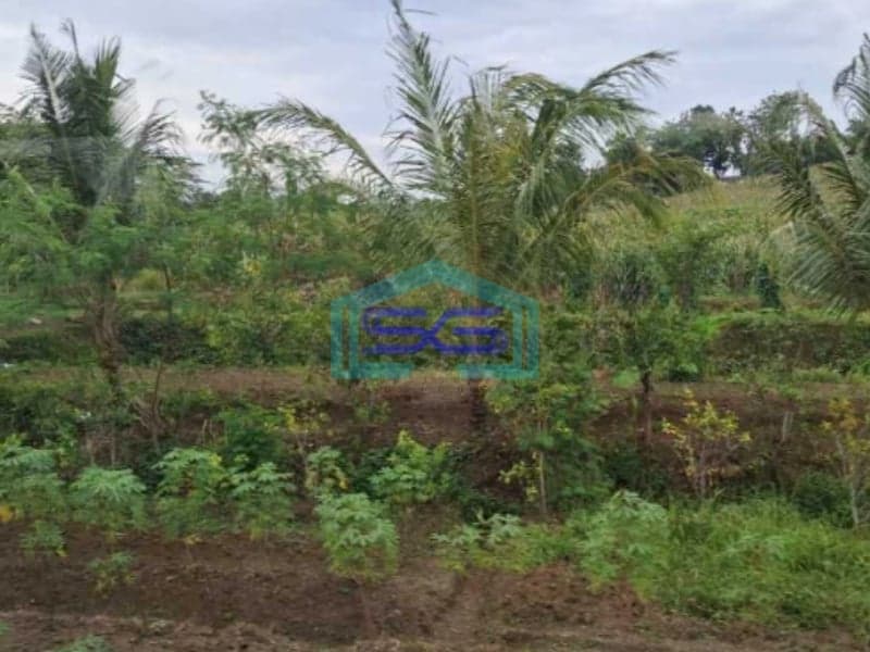 Dijual Tanah Murah Lokasi Elite Hook Setra Duta Bandung Utara LT 1400m2