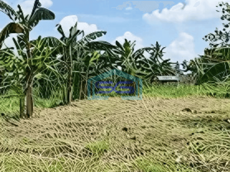 Dijual Tanah Jl Kota Gondok Luas 55000m2 di Kec Cijangkar Nyalindung Sukabumi Njop