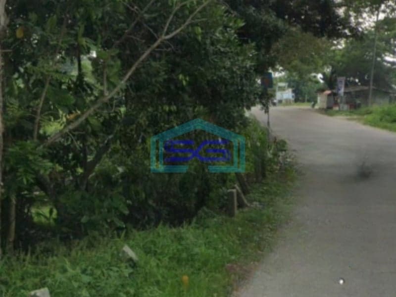 Dijual Tanah Industri Luas Tanah 6000m2 Di Rangkasbitung Lebak Banten