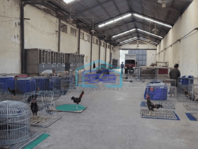 Dijual Gudang 2 Lantai di no jalan Raya Cerme Gresik Langka Luas Bangunan 4200 m²