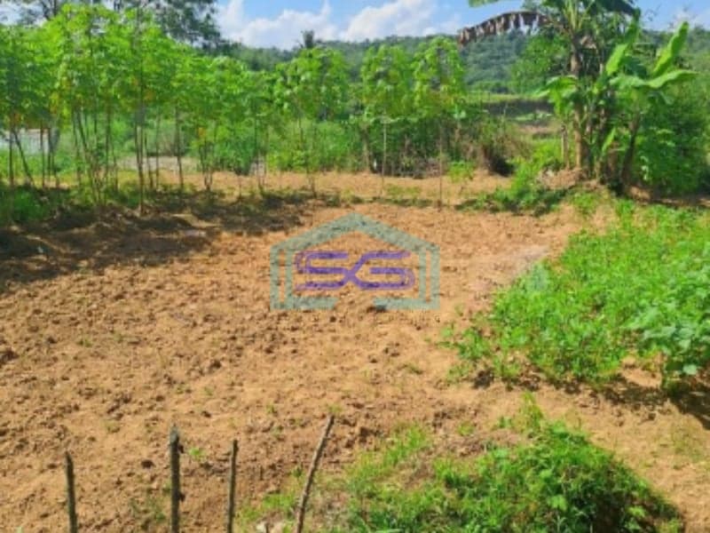 Dijual Tanah Letak Strategis Di Rumpin Bogor Luas Tanah 3500m2