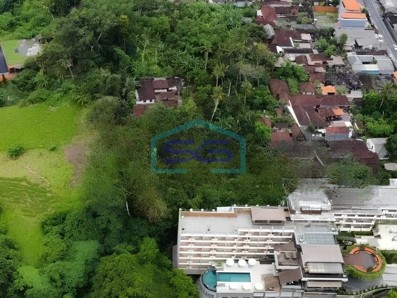 Dijual Tanah Kavling di Gianyar Ubud, Bali Luas Tanah 5.994 m2