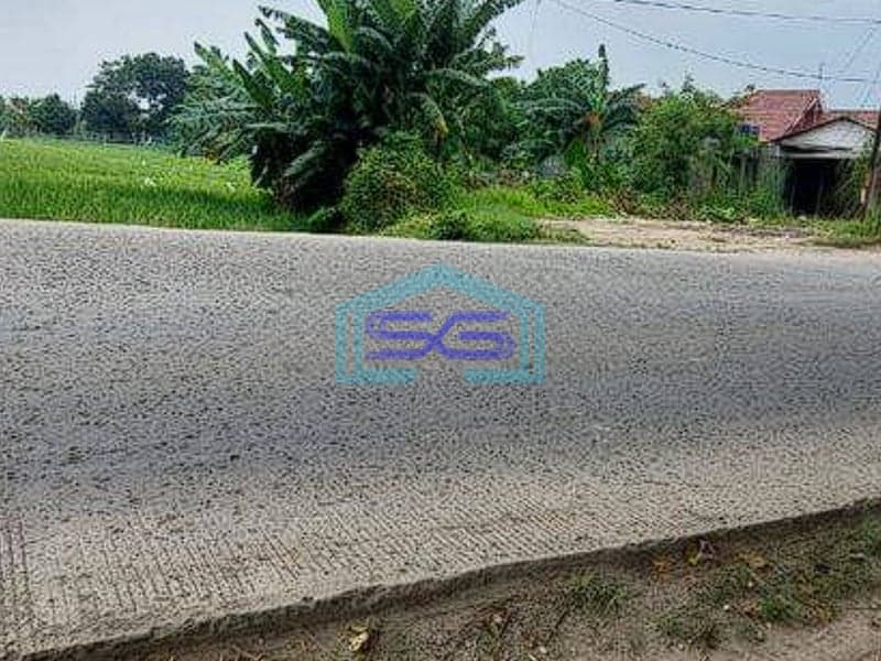 Dijual Tanah Posisi Strategis Jalan Utama Di Serang Cibarusah Cikarang LT 11000m2