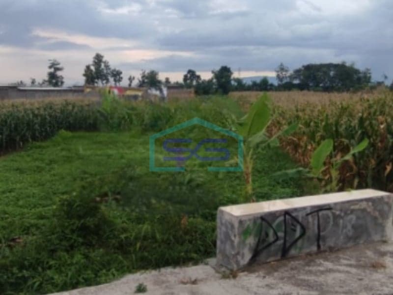 Dijual Tanah di Mlese, Ceper, Klaten, Jawa Tengah Luas Tanah 1950m2