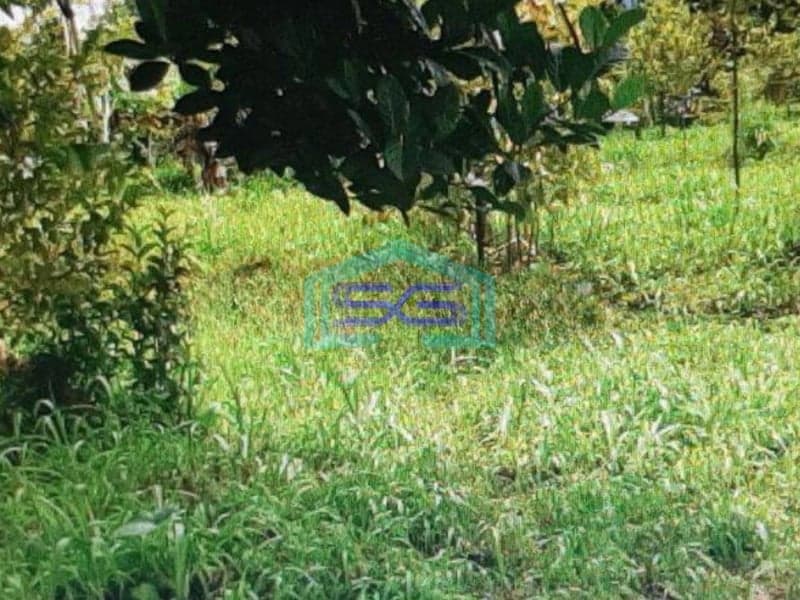 Dijual Tanah Di Tamansari Bogor LT 3735m2