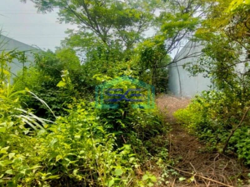 Dijual Tanah Kavling Dalam Kawasan Industri Luas Tanah Cikarang Bekasi 1350m2
