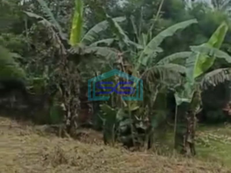 Dijual Tanah Di Caringin Bogor Dekat Exit Tol Caringin Luas Tanah 14500m2