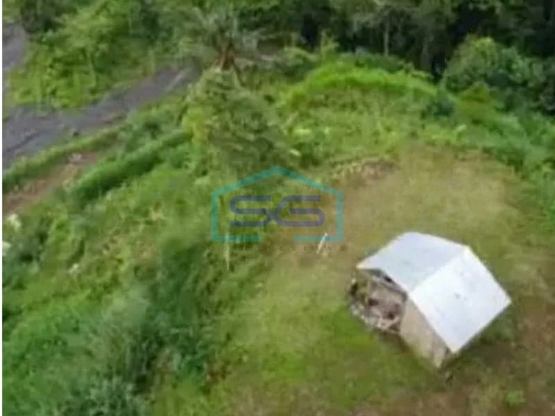 For Sale Fast Cheap Land Location in Karangasem Bali Land Area 12400 m²