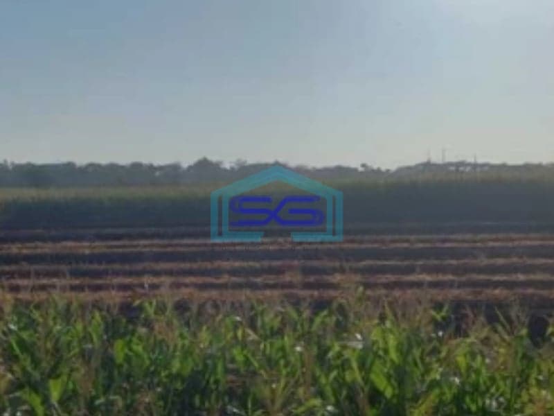 Dijual Lahan Tanah Zona Industri Lokasi Sumberlawang Sragen Jawa Tengah Luas Tanah 420000m2