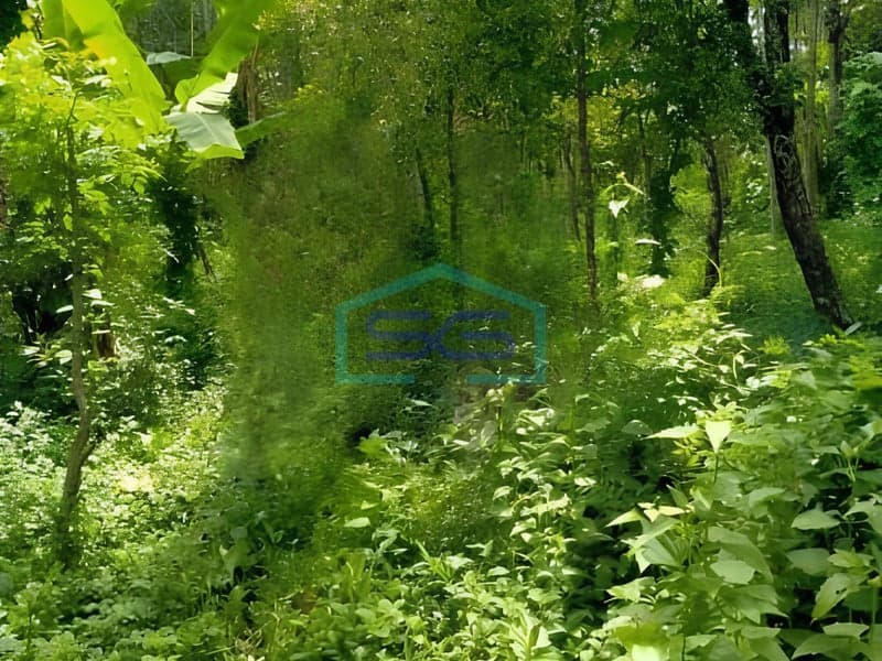 Land for Sale in Ampel Industrial Zone Boyolali Central Java Land Area 20000 m²