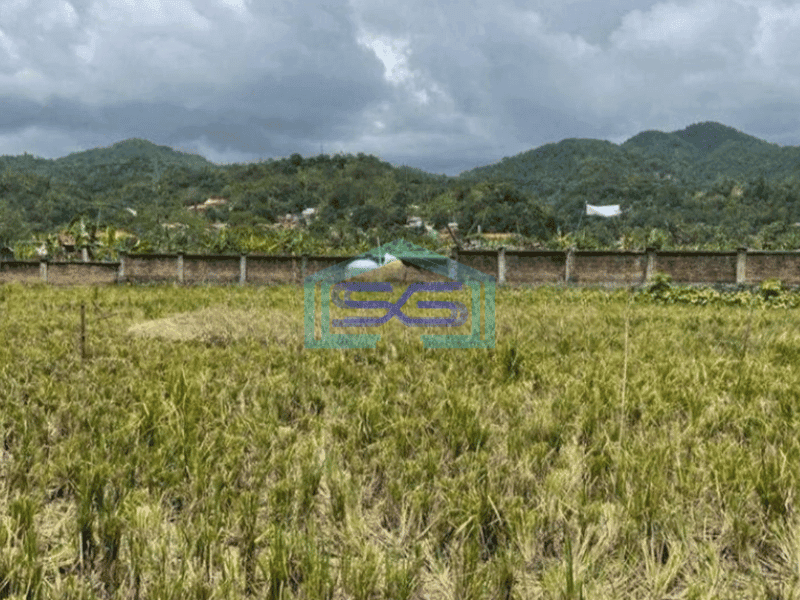 Dijual Tanah Bagus di Cisolok Pelabuhan Ratu Sukabumi Luas 2550m2