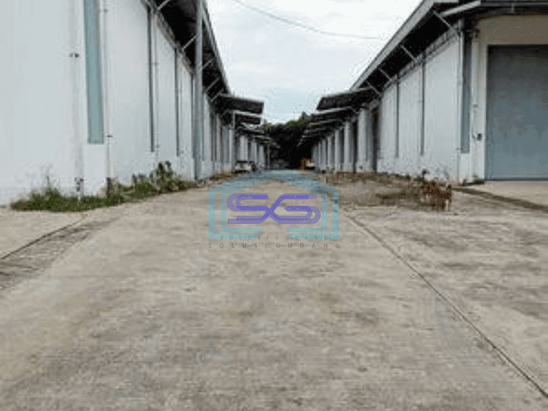 Disewa Gudang 5000 m Baru di Jl Raya Legok Tangerang