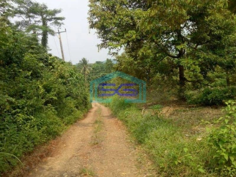 Dijual Tanah LT 20400m2 di Cinangka Serang
