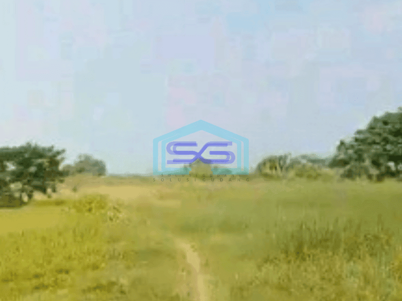 Dijual Tanah di Cikupa Tangerang Luas Tanah  55000 m² Bisa Akses Container 40 Feet