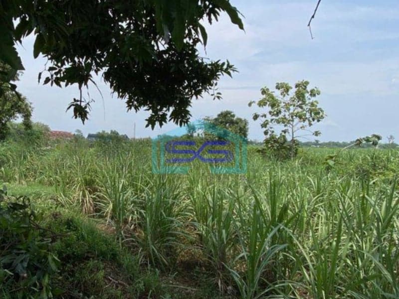 Dijual Tanah Gudang Industri Gedangan Area Bypass Mojokerto