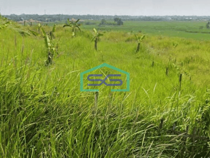 Dijual Tanah Untuk Gudang di Sirnajati Cibarusah Bekasi
