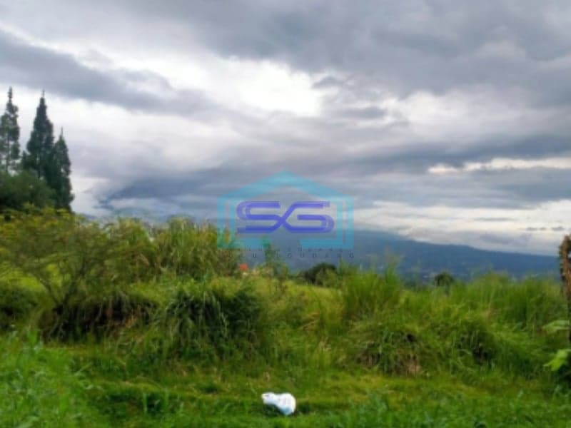Dijual Tanah Desa Lembah Duhur Caringin Bogor Luas Tanah 8000m2