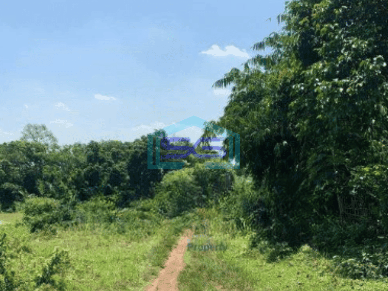 Dijual Tanah Lokasi Strategis di Cikeusal Serang Luas Tanah  9013 m²