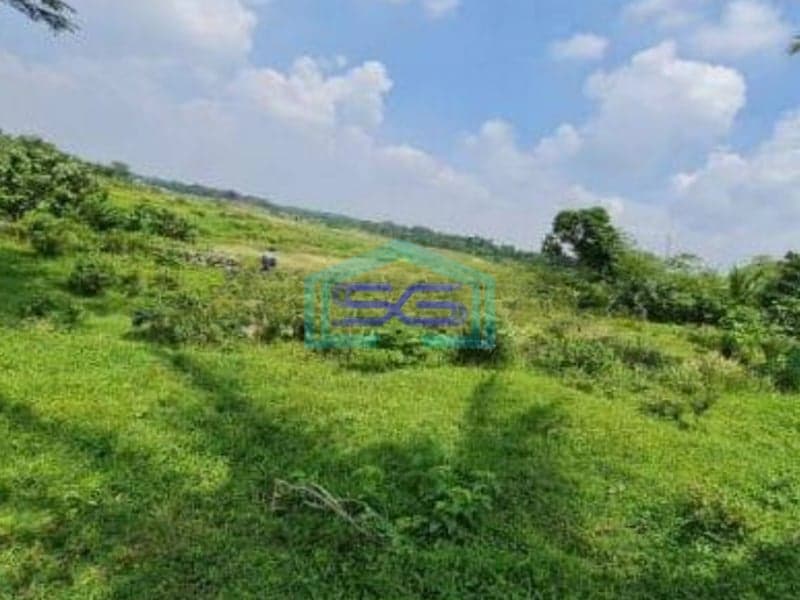 Dijual Tanah di Jl. Raya Dago Kebasiran Kec. Parung Panjang Kab. Bogor LT 185000m2