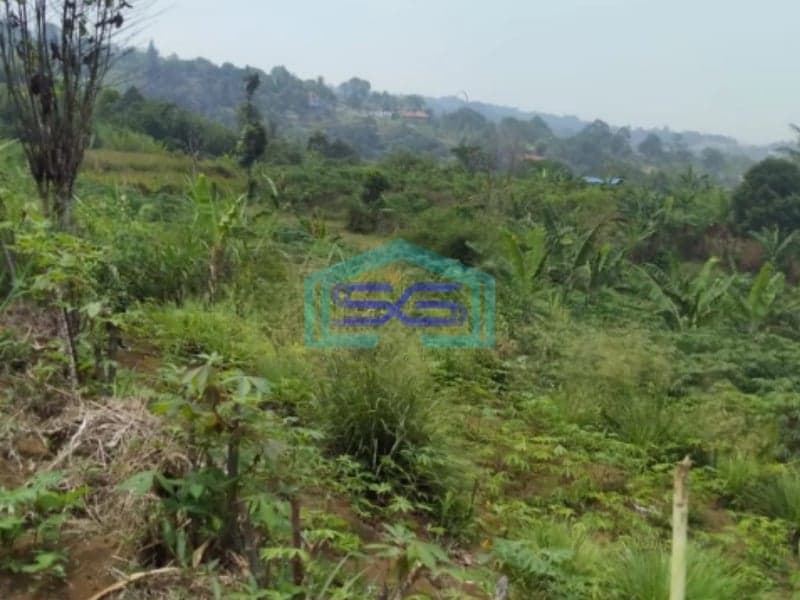 Dijual Tanah di Tugu Jaya Cigombong Bogor Luas Tanah 31000m2
