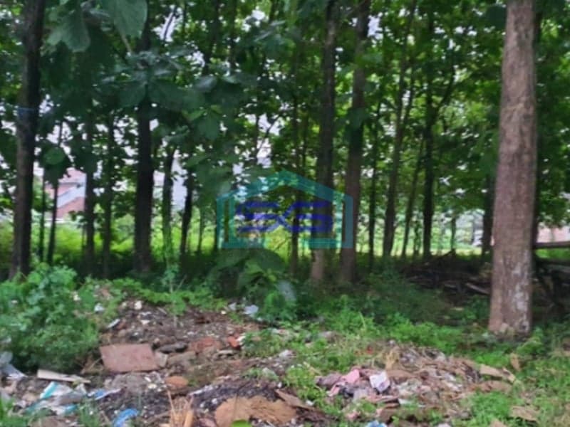 Dijual Tanah Siap Bangun Jalan Lebar di Sendangmulyo Semarang LT 1637m2