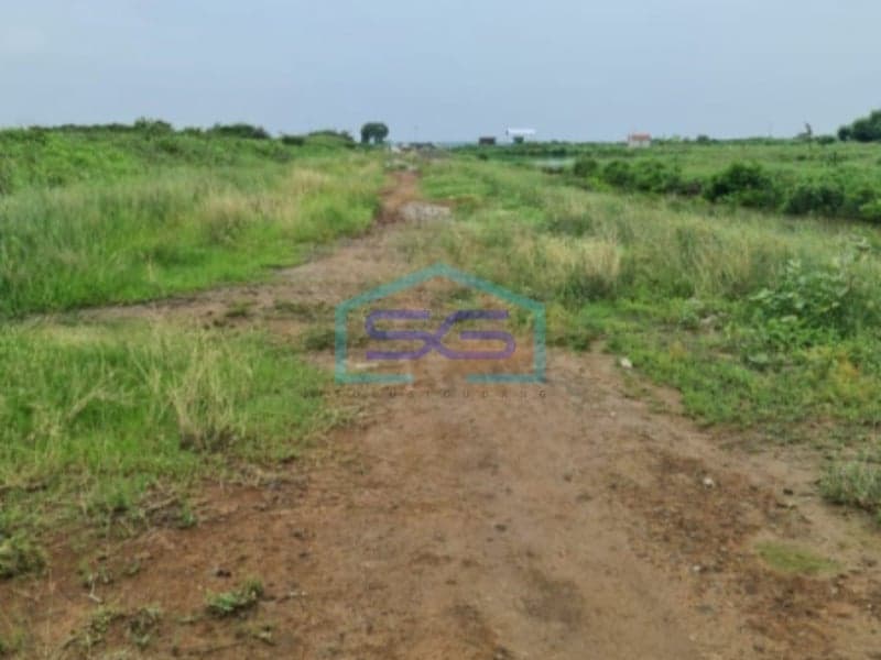 Dijual Tanah Luas 8 Ha di Wedung, Demak, Jawa Tengah