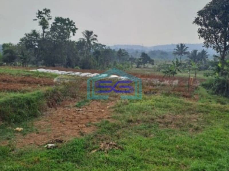 Dijual Tanah Bagus di Desa Cileungsi Ciawi Bogor Luas Tanah 5000m2