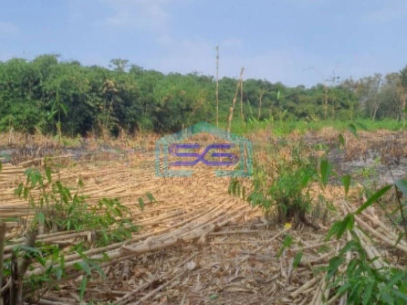Dijual Tanah di Cibodas Rumpin Bogor Luas Tanah 2450m2