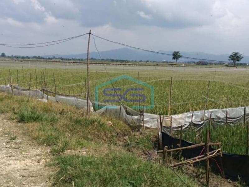 Dijual Lahan Strategis di Pati Jawa Tengah Luas 300 Hektar