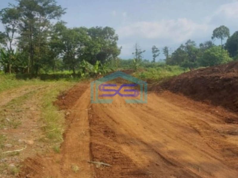 Dijual Tanah Uruk Daerah Gunting Sukorejo Pasuruan Jawa Timur LT 70 Hektar
