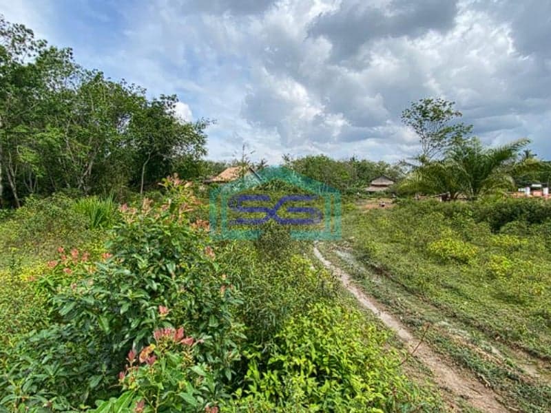 Dijual Tanah di Kab Banyuasin Sumatera Selatan Luas Tanah 21000m2