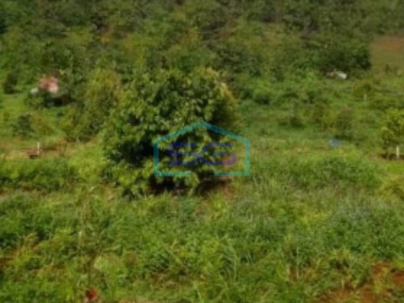 For Sale Land 800,000 m² Location Subang West Java SHM Certificate