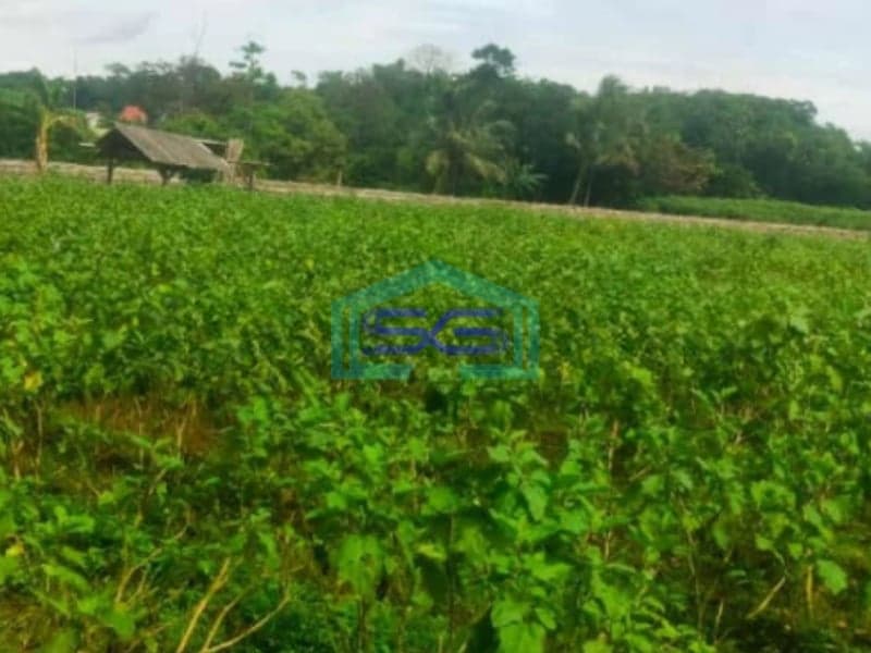 Dijual Tanah Desa Cibungbulang Bogor Barat Jawa Barat LT 70000m2