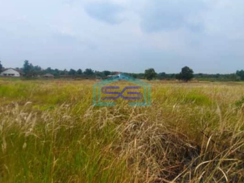 Dijual Tanah Strategis Cocok Investasi Di Tigaraksa Tangerang LT 1356m2