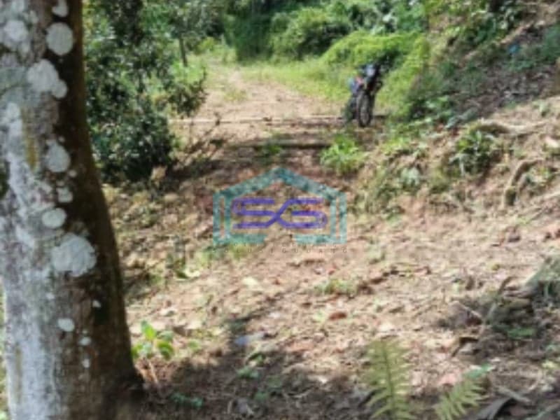 Dijual Tanah Di Kawasan Lewihejo Sentul Bogor Luas Tanah 1840m2