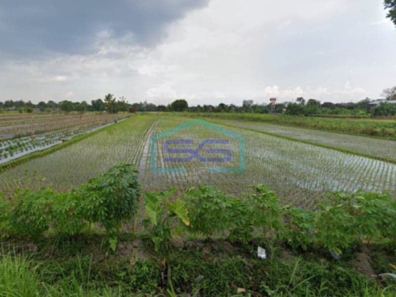 Dijual Tanah di Balecatur Gamping, Sleman LT 5.021 m2
