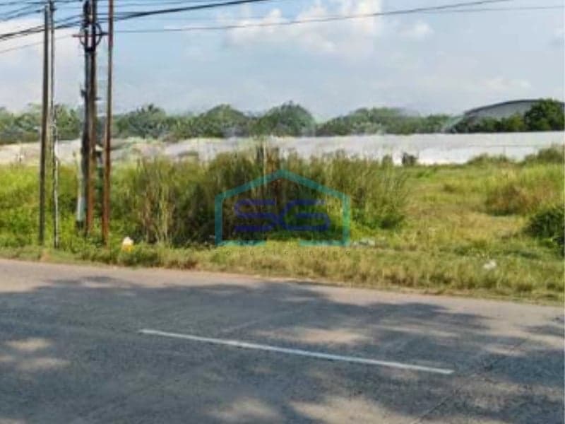 For Sale: Land Area 10300 m² in Demak, Central Java