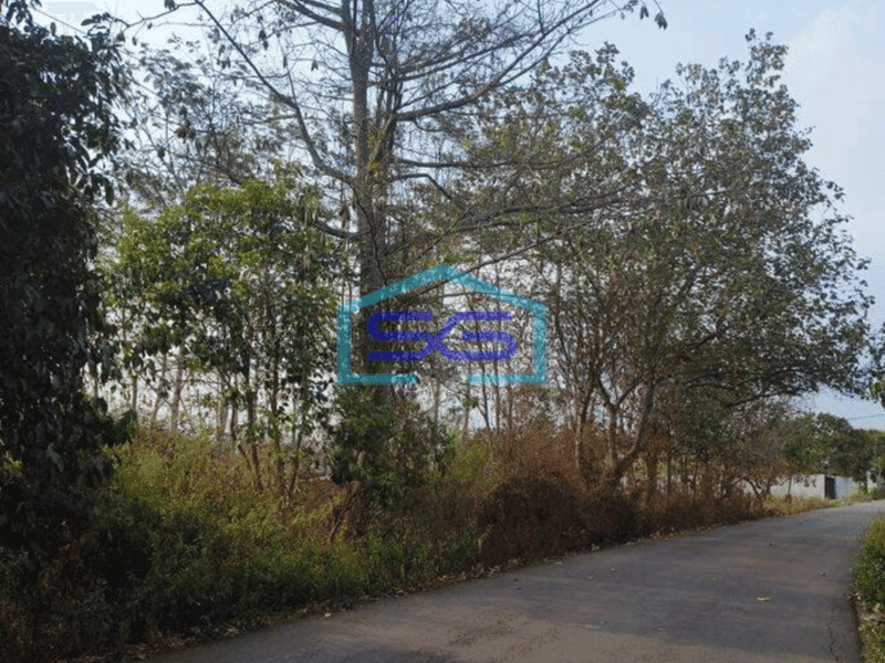 Dijual Tanah Untuk Gudang di Pasir Kembang Maja Lebak
