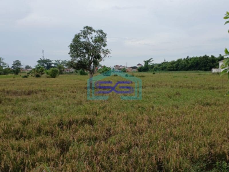 Dijual Cepat Tanah Murah dan Siap Bangun di Jalan Panca Usaha Palembang LT 3300m2