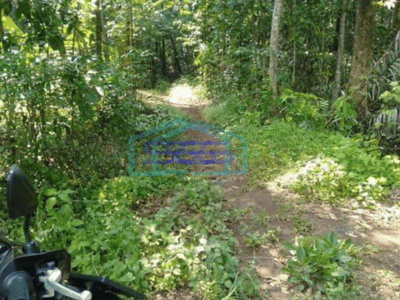 Dijual Kavling di kecamatan Beber Cirebon