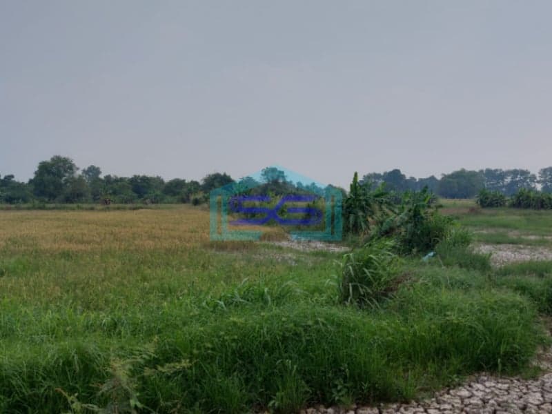 Dijual Tanah Strategis di Lokasi Pegayut Pemulutan Ogan Ilir Sumatera Selatan LT 50425m2