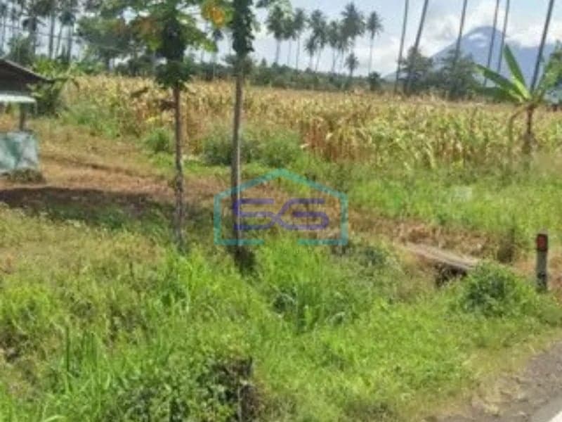 For Sale: 7ha Land Bargain Price Kauditan, North Minahasa North Sulawesi