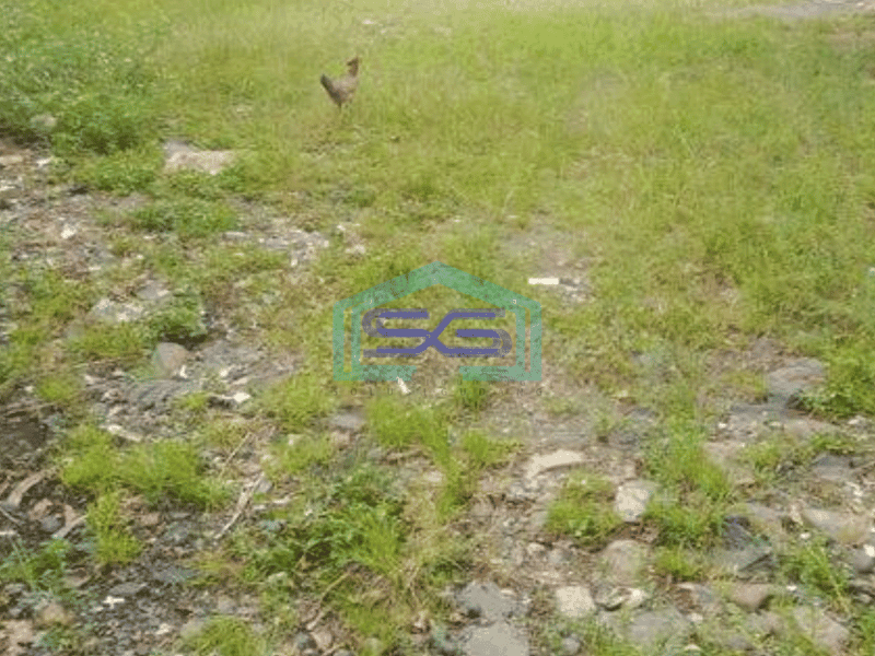 Disewakan Tanah Lokasi Strategis di Jalan Simongan Raya, Semarang